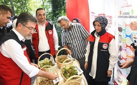 Bakan Yumaklı: Fındıktaki zirai dondan kaynaklı zarar için 2,3 milyar lira tazminat ödenecek