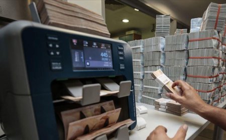 Bankacılık sektörünün mevduatı geçen hafta arttı