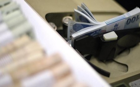 Bankalarda unutulan yaklaşık 732,1 milyon lira TMSF'ye aktarıldı