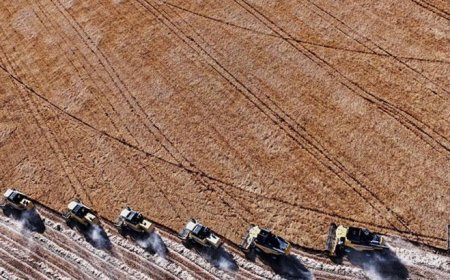 Tarımsal girdi fiyat endeksi haziranda arttı