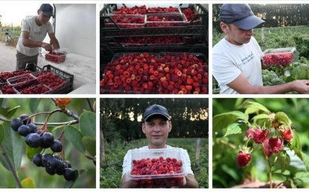 Atıl araziyi meyve bahçesine dönüştürerek üretici oldu