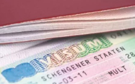 Türk ihracatına karşı vize seddi