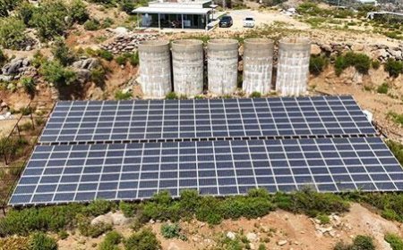 Antalya'da tropikal meyve bahçelerine kurulan GES enerji maliyetlerini düşürdü