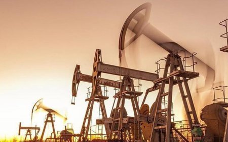 Petrolde yılın ikinci çeyreğinde dikkat çeken düşüş