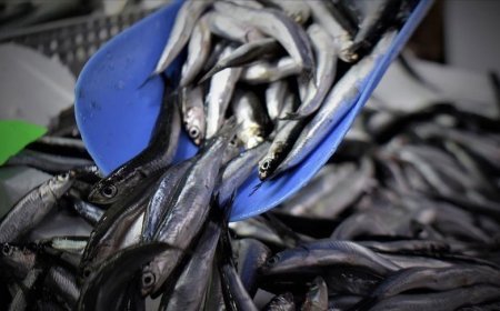 Balıkçılar 'vira bismillah' demeye hazırlanıyor