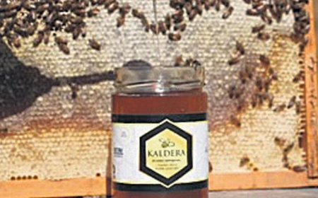 Bitlis’in balı öğrencilere burs oldu