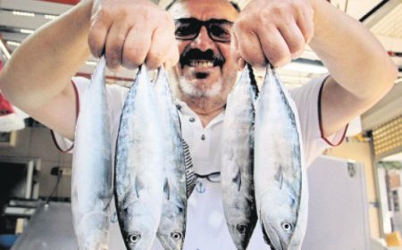 Palamutta 25 santim karmaşası