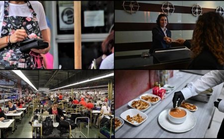 Türkiye'de 2024'te faal girişimlerin yüzde 44,4'ü hizmet sektöründe yer aldı