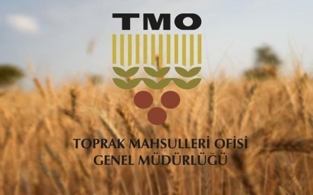 TMO'nun ithalat yoluyla tarım ürünleri almasına ilişkin usul ve esaslar belirlendi
