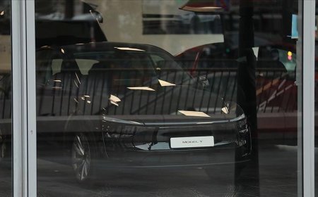 AB ülkelerinde Tesla satışları temmuzda sert düştü