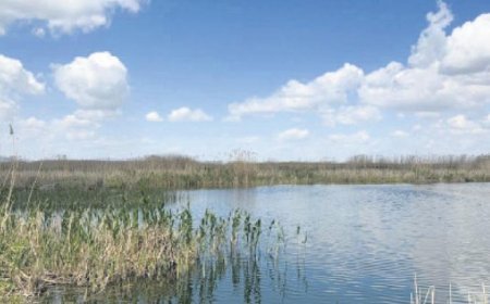 Ulusal Su Kurulu’nun gündemi kuraklık