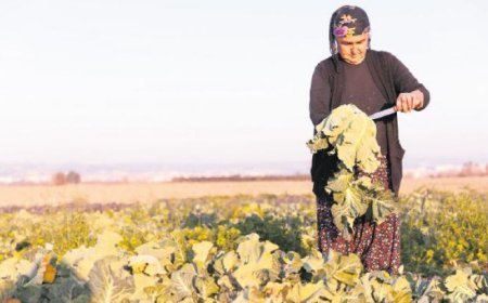 Genç üretimde adım adım hedefe