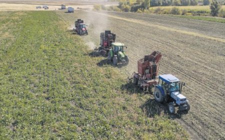 Sayım seferberliği verileri oluşturacak