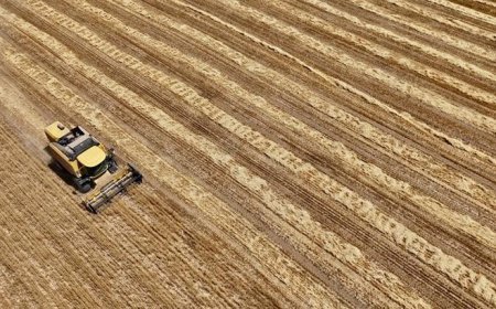 Çiftçi Kayıt Sistemi Yönetmeliği'nde değişikliğe gidildi