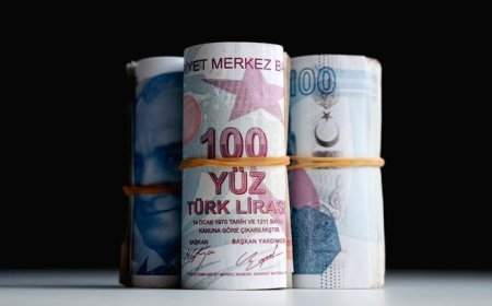 Kredi garanti kurumlarına sağlanan hazine desteğinde değişiklik