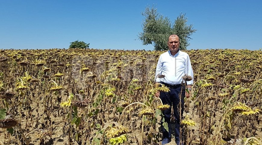 ÇİFTÇİ BORÇLARINI ACİL ERTELEYİN!