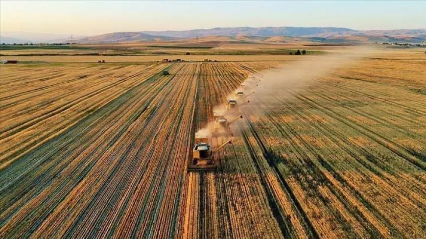 Çiftçilere güzel haber! 86,5 milyon liralık tarımsal destek kalemleri hesaplara yatırıldı