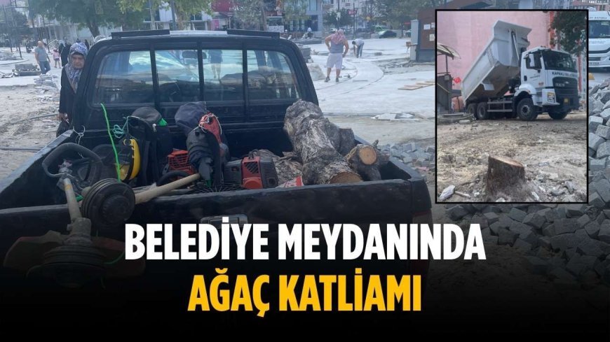 Belediye meydanında ağaç katliamı