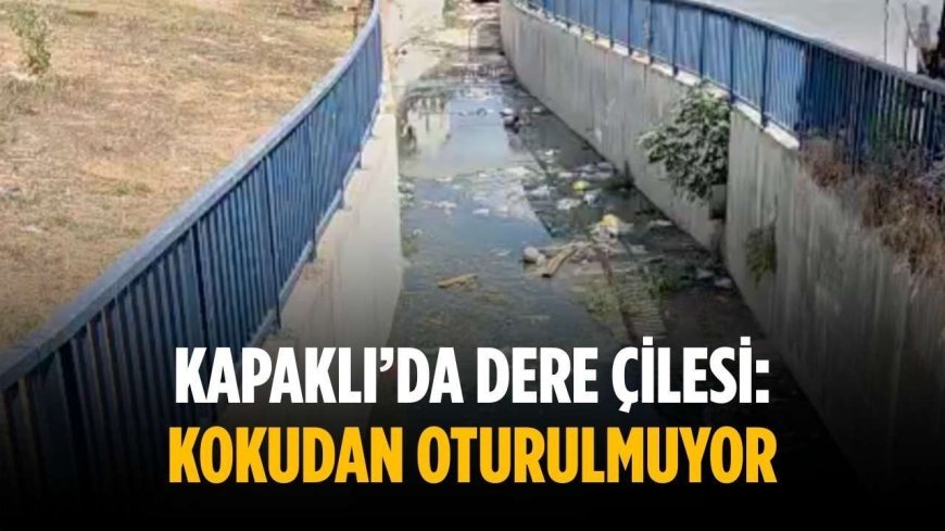 Kapaklı’da dere çilesi: Kokudan oturulmuyor