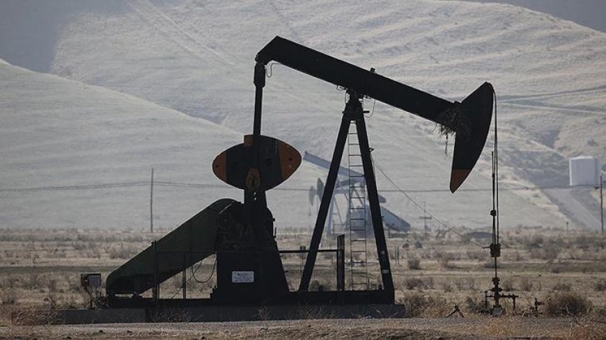 Petrol ağustos ayını kayıpla kapattı