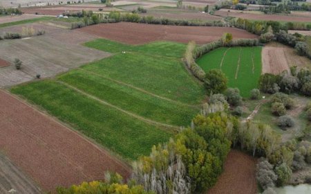 Arazi sahipleri dikkat! Devletten kiralık tarla dönemi başlıyor