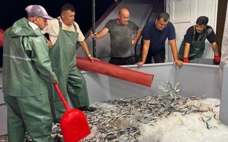 Ordu’da ‘vira bismillah’ diyen balıkçılar, sezonun ilk avını gerçekleştirdi