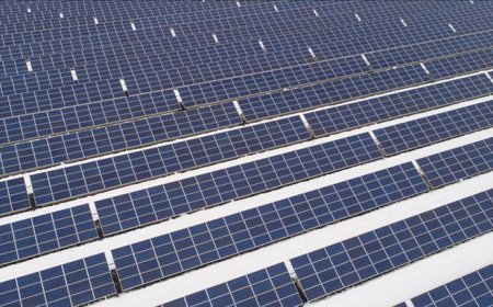 Küresel güneş enerjisi kurulumları yüzde 64 arttı