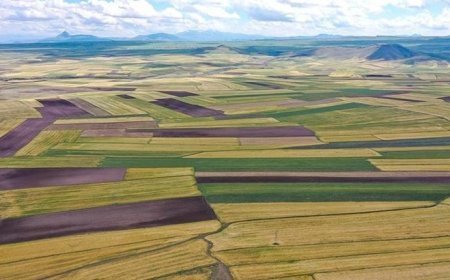 Devletten kiralık arazi! İlk kiralama tarihi belli oldu