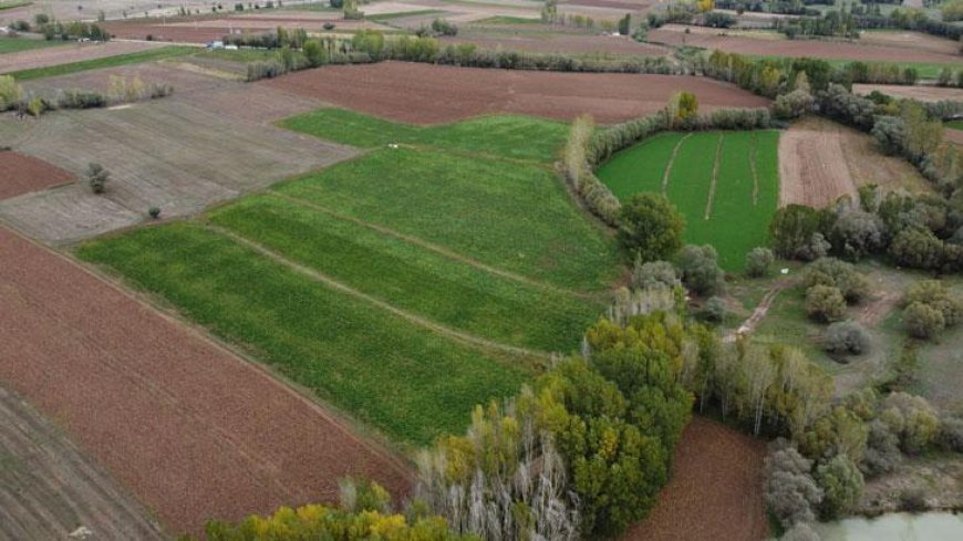 Arazi sahipleri dikkat! Devletten kiralık tarla dönemi başlıyor
