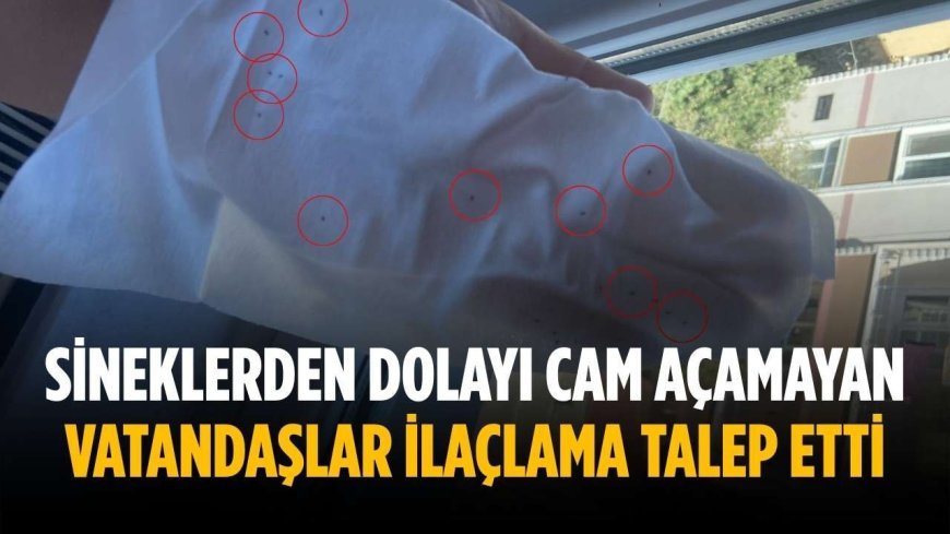 Sineklerden dolayı cam açamayan vatandaşlar ilaçlama talep etti