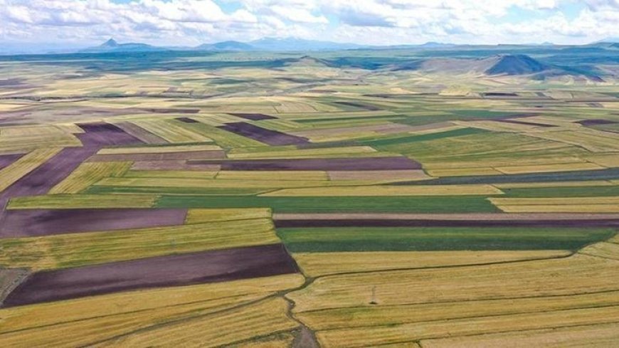 Devletten kiralık arazi! İlk kiralama tarihi belli oldu