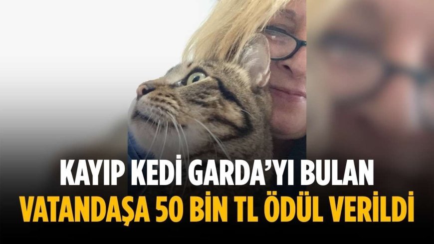Kayıp kedi Garda’yı bulan vatandaşa 50 bin TL ödül verildi