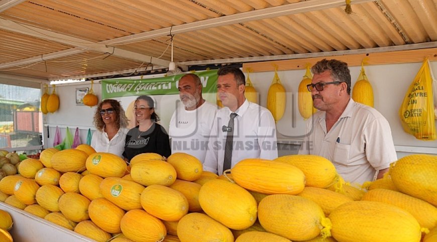Çorlu'nun İlk Coğrafi İşaretli Ürünü Seymen Kavununun Hasadı Başladı