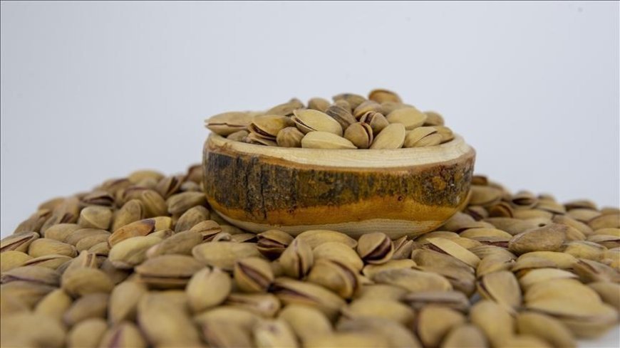 Baklava üreticilerinden 'Antep fıstığına geçici ithalat izni verilmesine' ilişkin açıklama