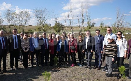 Yaşayan Çınarlar ve Minik Eller Öğretmenler Ormanı'nda Buluştu