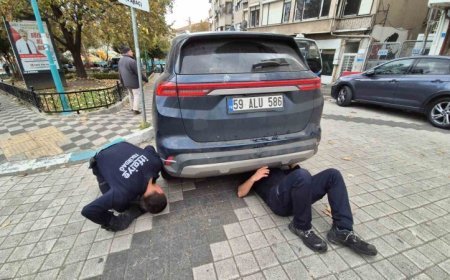 Otomobile giren kedi hava üflenerek kurtarıldı