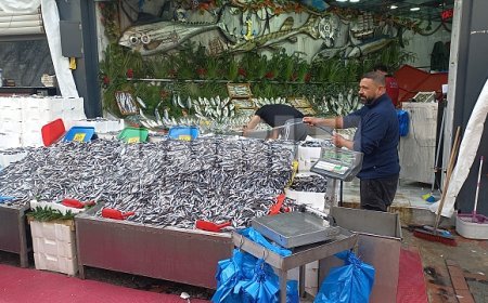 Havalar soğudu, hamsi 100 liraya düştü
