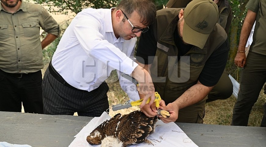 Hayvan dostu projeler devam ediyor