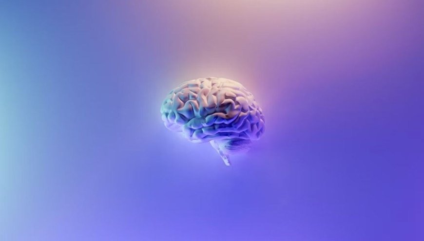 Bilim insanları Alzheimer riskini azaltmanın bir yolunu buldu