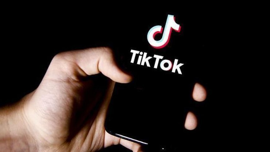 TikTok 189 milyon videoyu yayından kaldırdı!