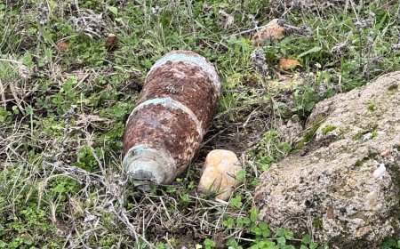 Mantar toplarken patlamamış top mermisi buldular