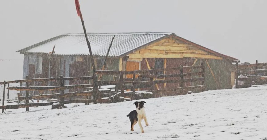 Ordu'nun yükseklerinde kar yağışı