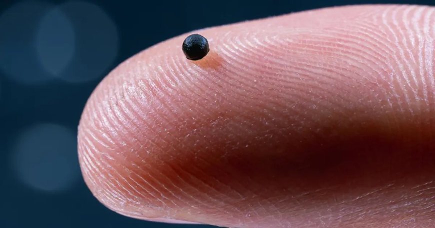 "Mikro robot" devrimi: Test başarılı oldu