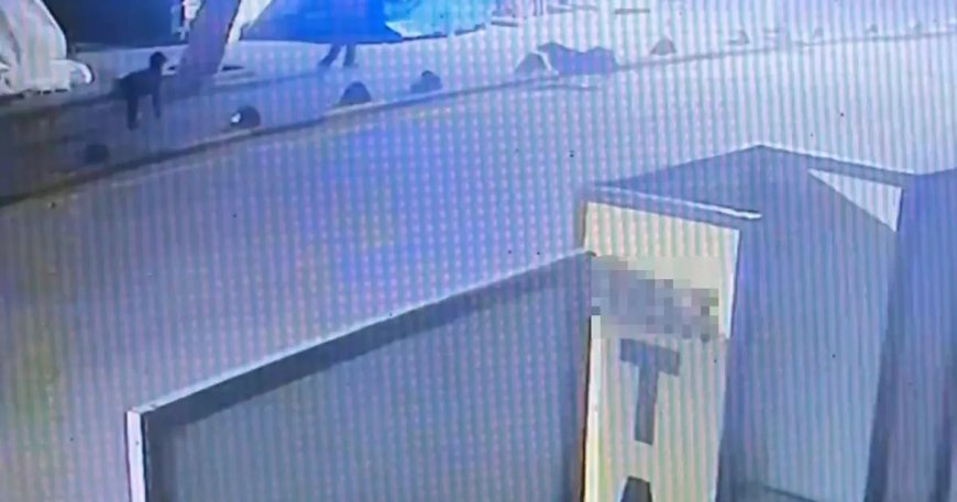 Emekli astsubay sokak köpeğini tabancayla vurdu