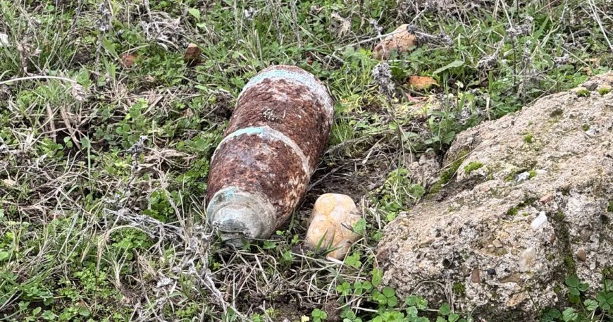 Mantar toplarken patlamamış top mermisi buldular