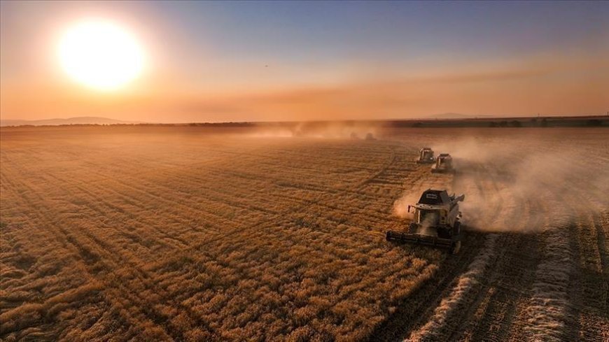 'Çiftçilere tarımsal destek ödemesi bugün yapılacak'