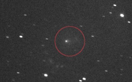 Gizemli ziyaretçinin "kalp atışları" gözlemlendi