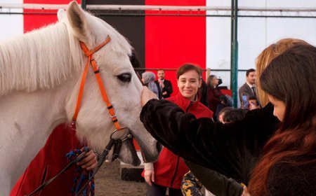 3 Aralık Dünya Engelliler Günü’nde özel çocuklar Hipodrom.com Atla Terapi Merkezi’nde buluştu
