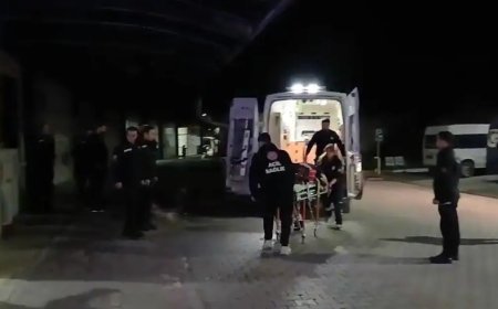 Zeytin bahçesinde sırtından bıçaklandı, 11 gün sonra öldü