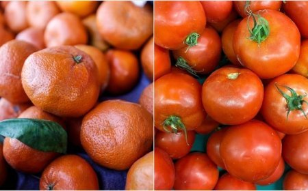 İstanbul'da en çok mandalina ve domates tüketildi